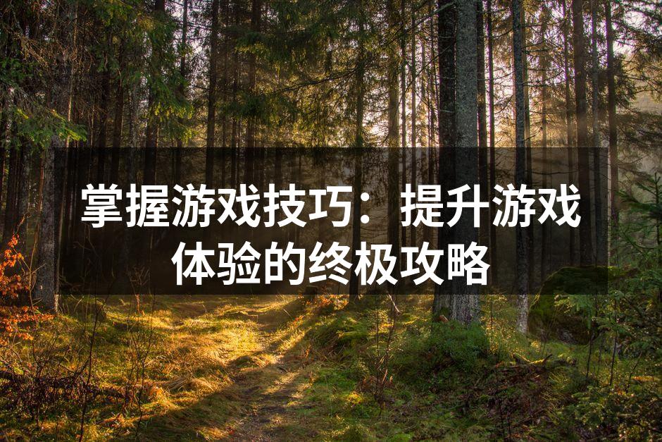 提升游戏技巧,畅玩无阻